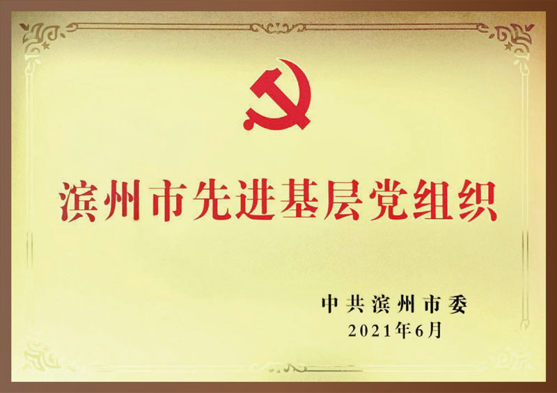 滨州市先进基层党组织