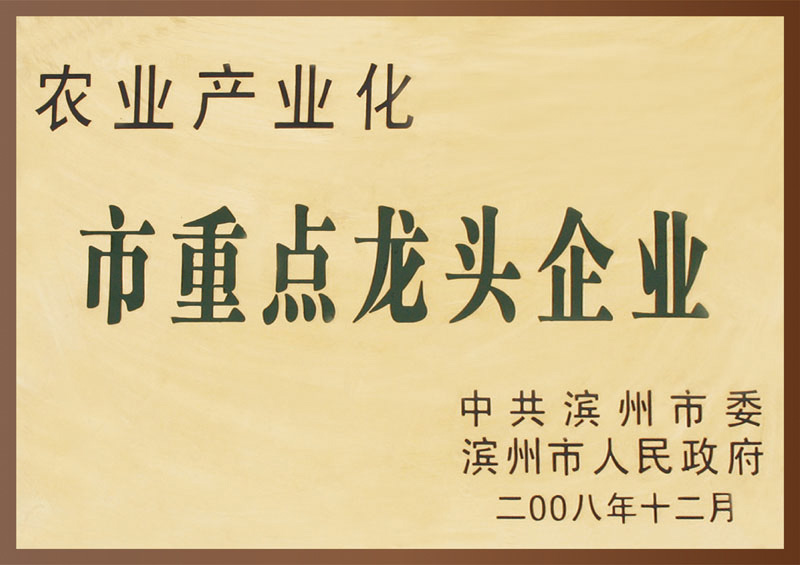 市重点龙头企业