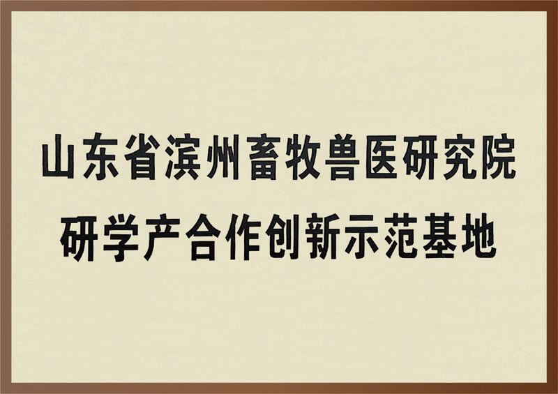 合作创新示范基地