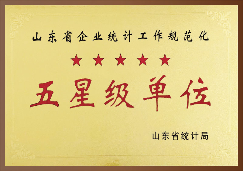 五星级单位